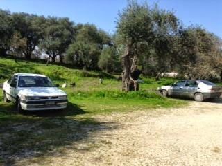 Banner for Rural Car Park