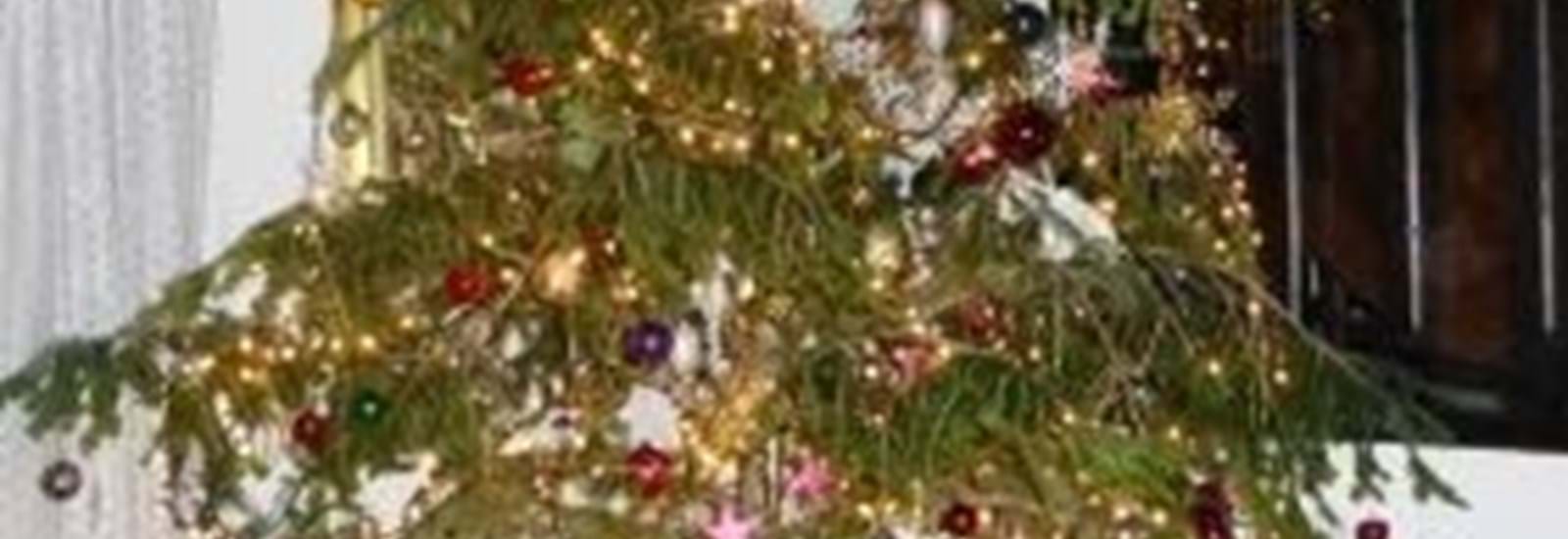 Banner for Christmas Lights