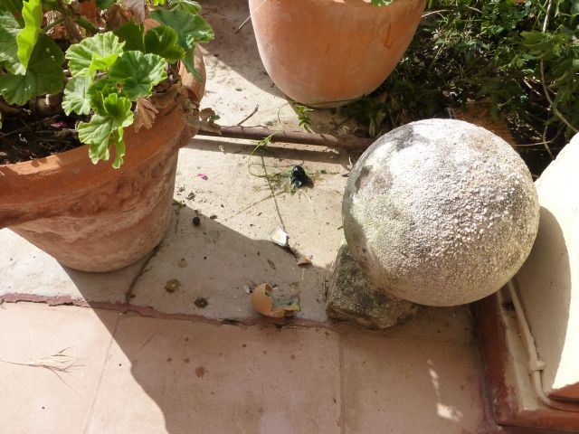 Banner for An Easter Egg with a Difference