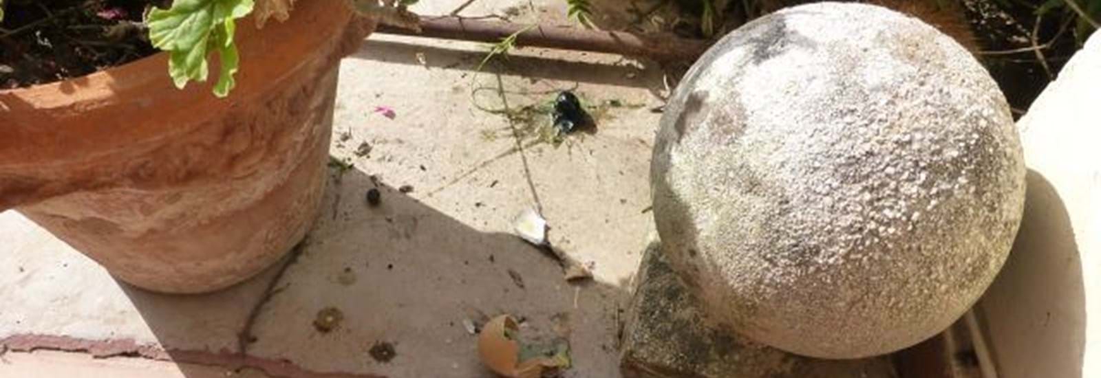 Banner for An Easter Egg with a Difference