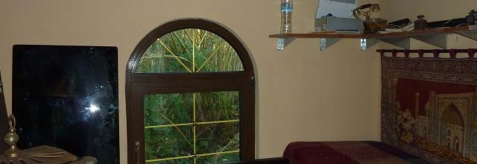 Banner for Possibly the Biggest Dog Kennel in the World?