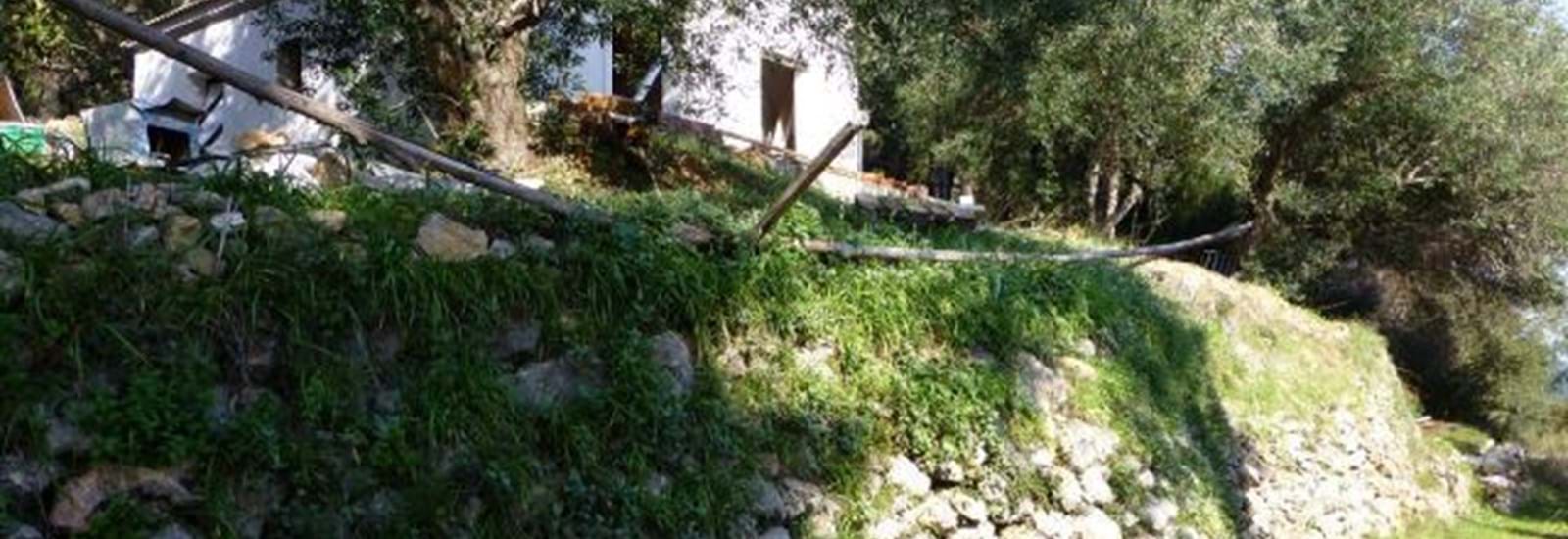 Banner for The Electric Man