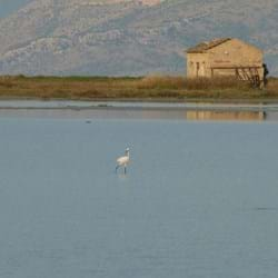 Salt flats at Lefkimmi, Corfu