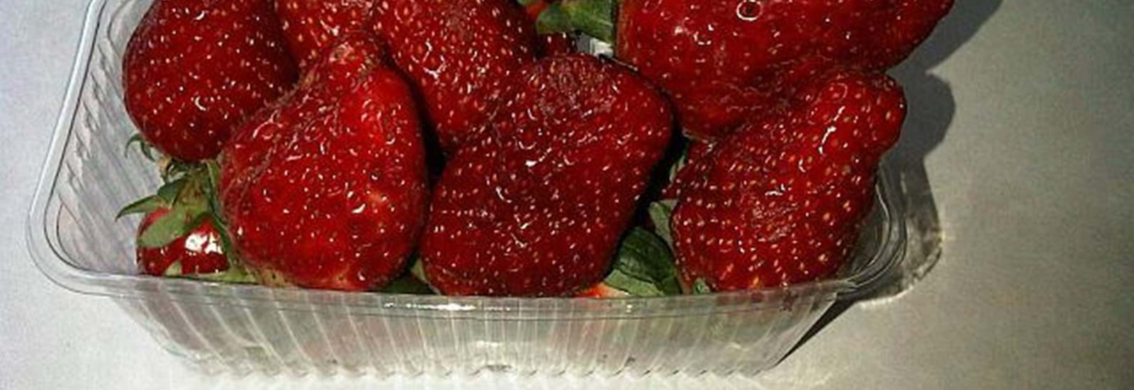 Banner for Now we know it really is Spring