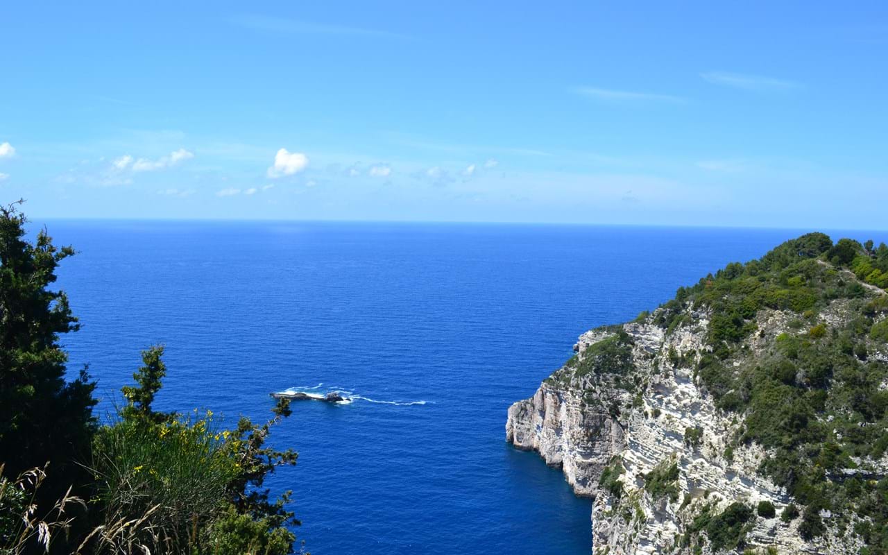 Paxos