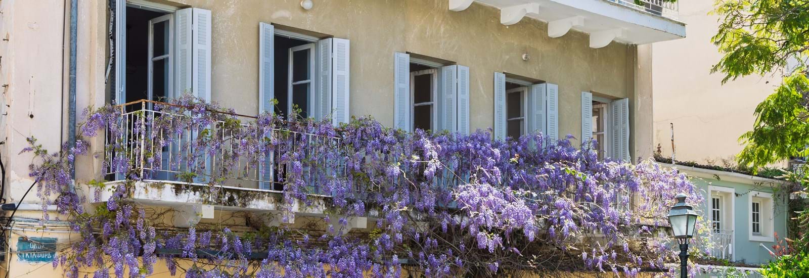 Banner for Springtime in Corfu