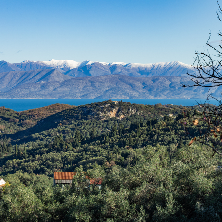 Content Image Content Image