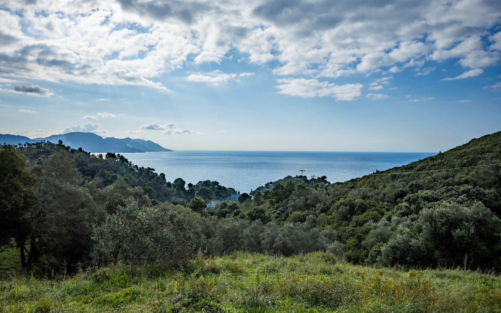 MIRTIOTISSA LAND, Mirtiotissa, Corfu, 450,000 €